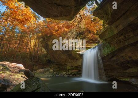 Dog Slaughter Falls im Daniel Boone National Forest, Kentucky, USA. Stockfoto