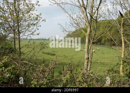 M25 Colne Valley Motorway Service Area Proposed site, Iver Heath, Bucks - Planungsanwendung PL/20/4332/OA Stockfoto