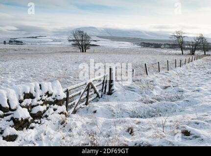 West Lothian, Schottland. Dezember 2020. UK Wetter: Schneeszene in der Nähe von Haperrig Reservoir, West Lothian, Schottland, UK. Quelle: Ian Rutherford/Alamy Live News. Stockfoto