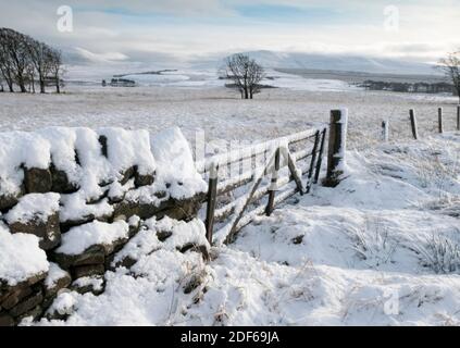 West Lothian, Schottland. Dezember 2020. UK Wetter: Schneeszene in der Nähe von Haperrig Reservoir, West Lothian, Schottland, UK. Quelle: Ian Rutherford/Alamy Live News. Stockfoto