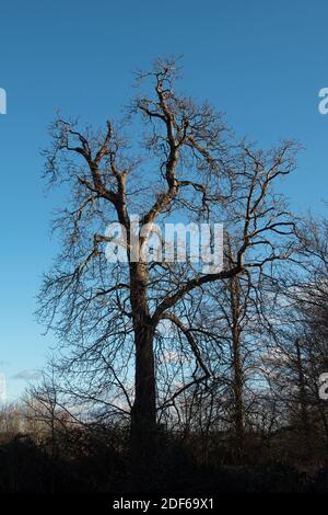 M25 Colne Valley Motorway Service Area Proposed site, Iver Heath, Bucks - Planungsanwendung PL/20/4332/OA Stockfoto