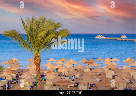 Entspannung am paradiesischen Strand - Chaise Lounge und Sonnenschirme - Reiseziel Hurghada, Ägypten Stockfoto