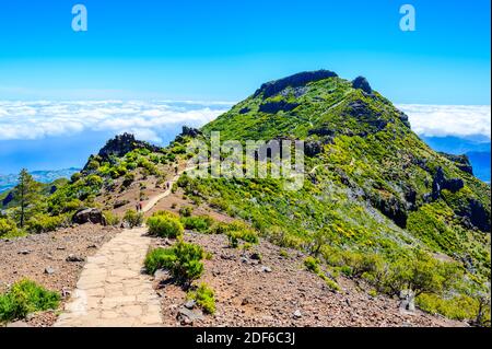 Achada do Teixeira - Blick vom Pico Ruivo - Wandern auf Madeira, Portugal Stockfoto