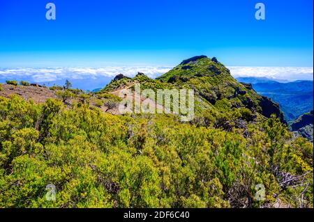 Achada do Teixeira - Blick vom Pico Ruivo - Wandern auf Madeira, Portugal Stockfoto