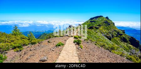 Achada do Teixeira - Blick vom Pico Ruivo - Wandern auf Madeira, Portugal Stockfoto