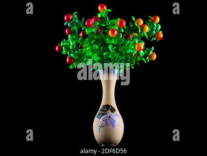 Fantastische Pflanzen mit Früchten in einer Keramikvase auf einem Schwarzer Hintergrund Stockfoto