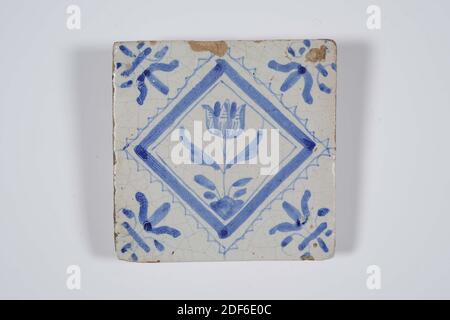 Wandfliese, Anonymous, erste Hälfte 17. Jahrhundert, Zinn-Glasur, Steingut, allgemein: 8.7 x 8.7 x 1,9cm (87 x 87 x 19mm), Tulpe, Nord-niederlande, Wandfliese aus Steingut mit Zinn-Glasur bedeckt und in blau bemalt. Die Kachel zeigt eine Tulpe in einem gezackten Quadrat. Die Fliese hat eine Lilie als Eckmotiv, 1985 Stockfoto