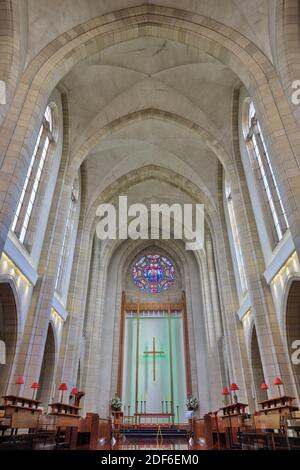 Der Chor in der Holy Trinity Cathedral, Auckland, Neuseeland, mit dem Rosenfenster aus Buntglas Stockfoto