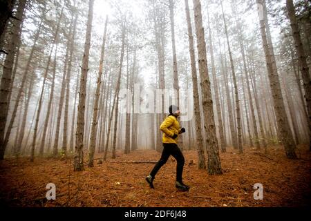 Hübscher junger Mann läuft im Herbstwald und trainiert für Trail Run Marathon Ausdauerrennen Stockfoto
