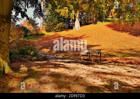 Die Vielfalt der Malenter Kurgärten ist nicht nur im Herbst besonders schön. Hier können Sie auf einer der vielen Bänke Platz nehmen. Stockfoto