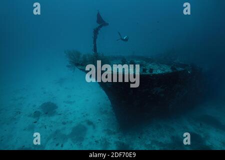 Irgendwo tief. Kuda giri Wrack, Süd Male Atoll. Unterwasserwelt der Malediven. Stockfoto