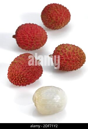 Litschi oder Litchee, Litchi Sinensis, exotische Früchte vor weißem Hintergrund Stockfoto
