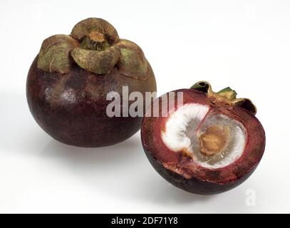 Mangostan, Garcinia Mangostana, exotische Früchte vor weißem Hintergrund Stockfoto