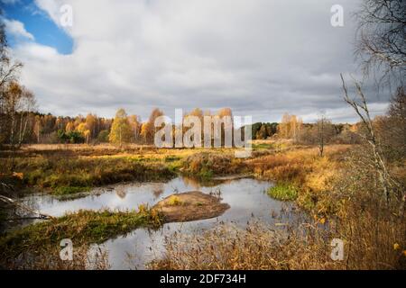 Niedrige graue Wolken, ruhiger Fluss, goldenes Laub auf den Bäumen. Herbstlandschaft. Horizontale Ausrichtung Stockfoto