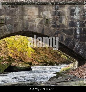 Letzte Herbstblätter markieren einen kleinen Bach im David Fortiet River Park. Olmsted Falls, Ohio Stockfoto