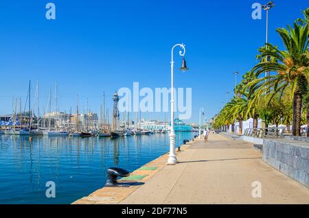 Barcelona, Spanien, 11. Juni 2017: Promenade Damm von Barcelona mit festgetäuten Yacht-Boote im Hafen, Straßenlaternen, Allee von Palmen und blau klar Stockfoto