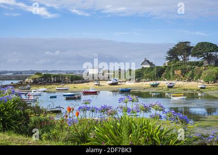 Frankreich, Finistere, Ponant-Inseln, Batz-Insel, Pors und EOG Stockfoto