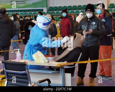 (201203) -- MANZHOULI, 3. Dezember 2020 (Xinhua) -- EIN Gesundheitsarbeiter sammelt eine Abstrichprobe von einem Bewohner während der dritten Runde der stadtweiten Nukleinsäuretests in Manzhouli, Nordchinas Autonome Region Innere Mongolei, 3. Dezember 2020. Manzhouli startete am Donnerstagmorgen seine dritte Runde von stadtweiten Nukleinsäuretests. Am Donnerstag um 7 Uhr hatte Manzhouli 21 im Inland übertragene Fälle, zwei asymptomatische Träger und zwei Verdachtsfälle. Ihre 1,082 engen Kontakte wurden unter ärztlicher Beobachtung gestellt. Epidemiologische Erhebungen und die Nachverfolgung der Quellen zu den Fällen sind im Gange. Stockfoto