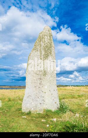 Frankreich, Finistere, Legendes Coast, Plouescat, Cam Louis Menhir entlang der GR 34 Wanderweg oder Zollweg Stockfoto