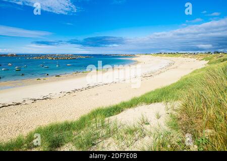 Frankreich, Finistere, Legendes Coast, Kerlouan, Meneham Strand entlang der GR 34 Wanderweg oder Zollweg Stockfoto