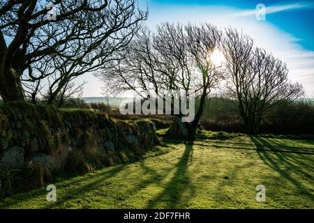 Morgennebel in der Landschaft von Pembrokeshire Stockfoto