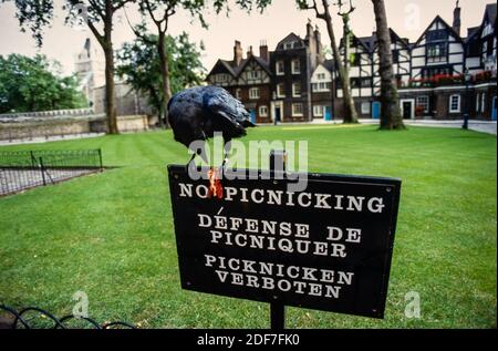 Tower of London, London UK 1986 aber gescannt 2020 hinter den Kulissen Zugriff auf den Tower of London fotografiert für Illustrated London News 1986 die Stockfoto