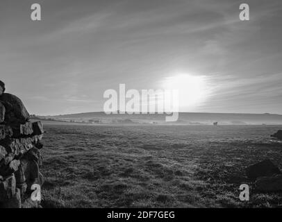 Sonnenaufgang über Pembrokeshire Ackerland (Monochrom) Stockfoto