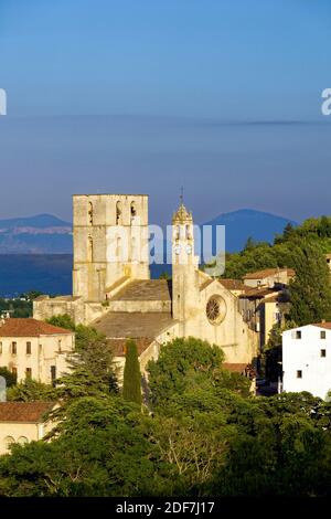 Frankreich, Alpes de Haute Provence, Luberon Naturpark, Forcalquier, Kathedrale Notre Dame du Bourguet des 12. Jahrhunderts Stockfoto