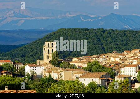 Frankreich, Alpes de Haute Provence, Luberon Naturpark, Forcalquier, Kathedrale Notre Dame du Bourguet des 12. Jahrhunderts Stockfoto