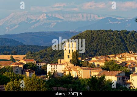 Frankreich, Alpes de Haute Provence, Luberon Naturpark, Forcalquier, Kathedrale Notre Dame du Bourguet des 12. Jahrhunderts Stockfoto