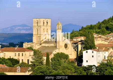 Frankreich, Alpes de Haute Provence, Luberon Naturpark, Forcalquier, Kathedrale Notre Dame du Bourguet des 12. Jahrhunderts Stockfoto