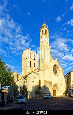 Frankreich, Alpes de Haute Provence, Naturpark Luberon, Forcalquier, Place du Bourguet, Kathedrale Notre Dame du Bourguet des 12. Jahrhunderts Stockfoto