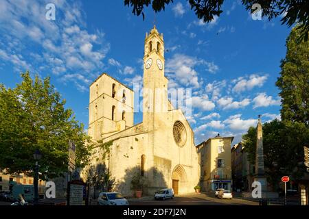 Frankreich, Alpes de Haute Provence, Naturpark Luberon, Forcalquier, Place du Bourguet, Kathedrale Notre Dame du Bourguet des 12. Jahrhunderts Stockfoto