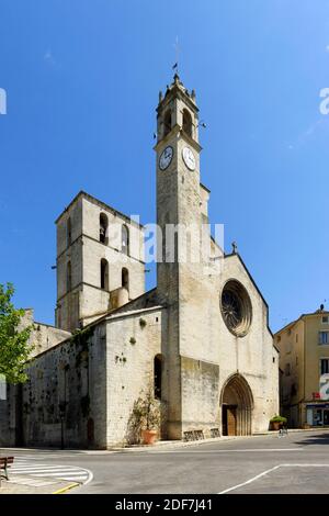 Frankreich, Alpes de Haute Provence, Naturpark Luberon, Forcalquier, Place du Bourguet, Kathedrale Notre Dame du Bourguet des 12. Jahrhunderts Stockfoto