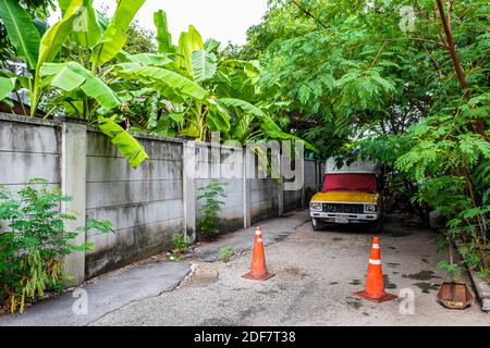 Verlassene alte Auto im tropischen Wald in Bangkok in Thailand. Stockfoto