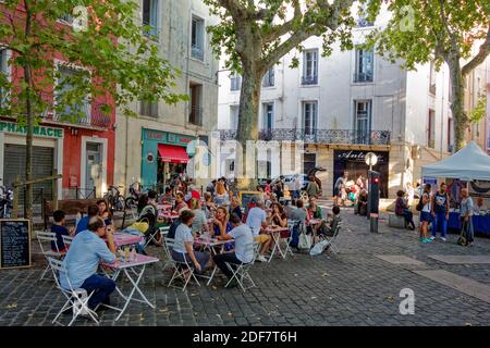 Frankreich, Herault, Sete, Leon Blum Platz, Kaffeeterrasse und Restaurant auf einem Platz gepflastert und schattig Stockfoto