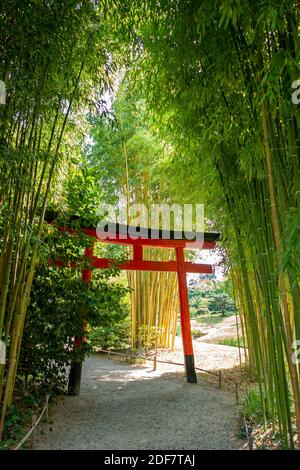 Frankreich, Herault, Anduze, Bambushain, torii oder tori-i, traditionelles japanisches Portal Stockfoto