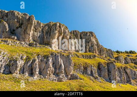 Frankreich, is?re (38), regionaler Naturpark Vercors, Villard de Lans, Luftaufnahme im Gleitschirm vom Roc Cornafion (2049m) (Luftaufnahme) Stockfoto