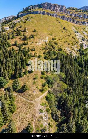 Frankreich, is?re (38), regionaler Naturpark Vercors, Villard de Lans, Luftaufnahme im Gleitschirm vom Roc Cornafion (2049m) (Luftaufnahme) Stockfoto