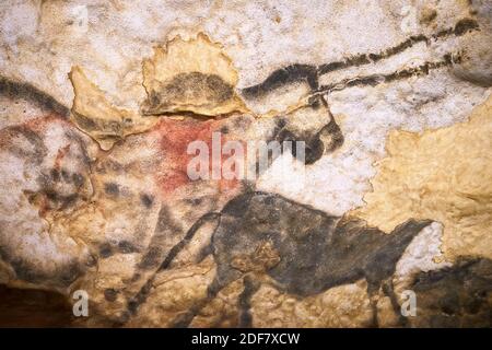 Frankreich, Dordogne, Schwarzes Perigord, Vezere-Tal, Stockfoto