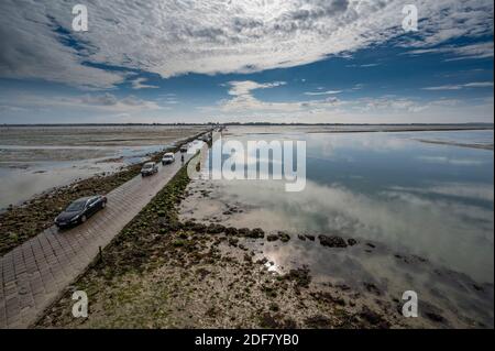 Frankreich, Vendee, la Barre des Monts, ile de Noirmoutier, le Passage du Gois eine Ebbe Stockfoto