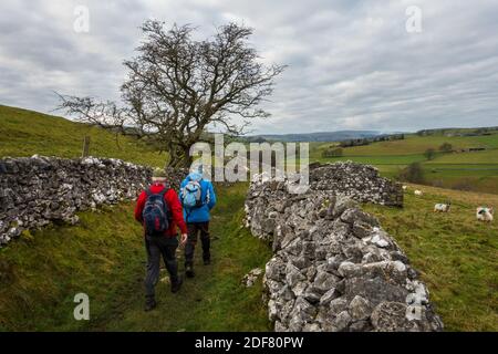 Zwei Spaziergänger, die einen doppelwandigen Weg in Richtung Burnsall im Yorkshire Dales National Park, England, Großbritannien, gehen Stockfoto