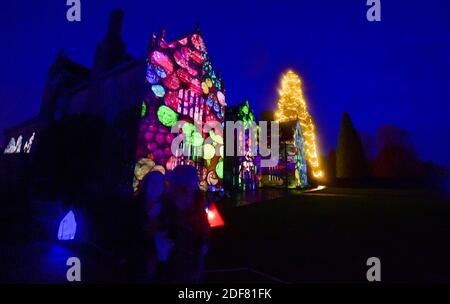 Wakehurst , Haywards Heath UK 3. Dezember 2020 - Besucher genießen die Eröffnungsnacht des Glow Wild Laternenpfades am Wakehurst in Sussex, der in diesem Jahr verborgene Helden der Natur feiert. Zu den Highlights gehören riesige schwimmende Löwenzahn-Samenköpfe, ein Märchenpilzfeld und der höchste Weihnachtsbaum Großbritanniens : Credit Simon Dack / Alamy Live News Stockfoto