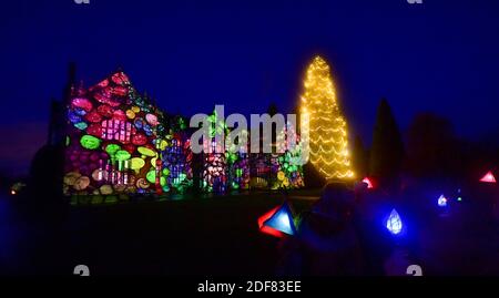 Wakehurst , Haywards Heath UK 3. Dezember 2020 - Besucher genießen die Eröffnungsnacht des Glow Wild Laternenpfades am Wakehurst in Sussex, der in diesem Jahr verborgene Helden der Natur feiert. Zu den Highlights gehören riesige schwimmende Löwenzahn-Samenköpfe, ein Märchenpilzfeld und der höchste Weihnachtsbaum Großbritanniens : Credit Simon Dack / Alamy Live News Stockfoto