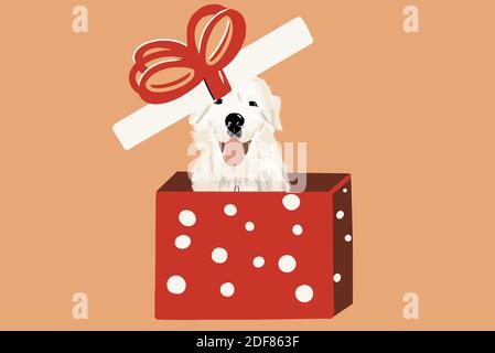 Weißer Hund in einer Geschenkbox auf dem Hintergrund. Vektor-Illustration in flachen Cartoon-Stil Stock Vektor