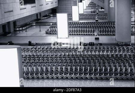 Beeindruckende Zahl der Karren warten auf Passagiere mit Gepäck Erholung Bereich in den internationalen Flughafen. B&W Foto. Stockfoto