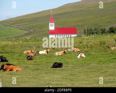 Rote Kirche in leerer Landschaft in Island Stockfoto