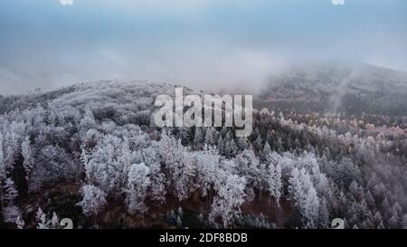 Winter Waldlandschaft Blick von oben.Frosty Wald Luftdrohne Blick.idyllisch Naturlandschaft aus der Vogelperspektive.Draufsicht Bäume.Urlaub Freiheit Tra Stockfoto