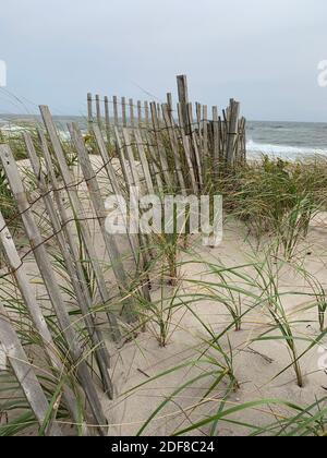 Sanddünen mit Blick auf den Strand Stockfoto