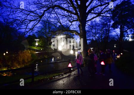 Wakehurst , Haywards Heath UK 3. Dezember 2020 - Besucher genießen die Eröffnungsnacht des Glow Wild Laternenpfades am Wakehurst in Sussex, der in diesem Jahr verborgene Helden der Natur feiert. Zu den Highlights gehören riesige schwimmende Löwenzahn-Samenköpfe, ein Märchenpilzfeld und der höchste Weihnachtsbaum Großbritanniens : Credit Simon Dack / Alamy Live News Stockfoto